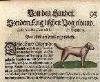 Conrad Gesner "Historiae Animalium" von 1561